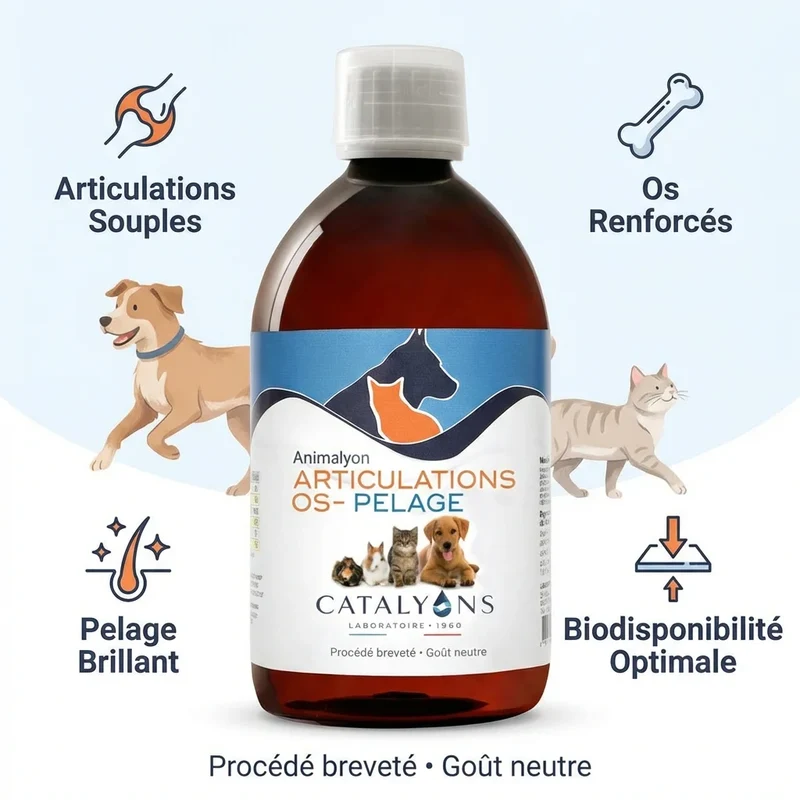 Animalyon Articulations, Os & Pelage - 500 ml - Catalyons