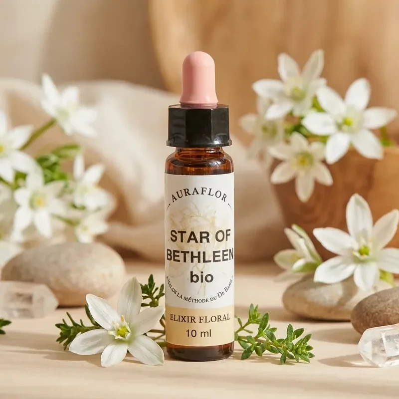 Fleur de Bach Etoile de Bethléem Bio - 10 ml - Dioter