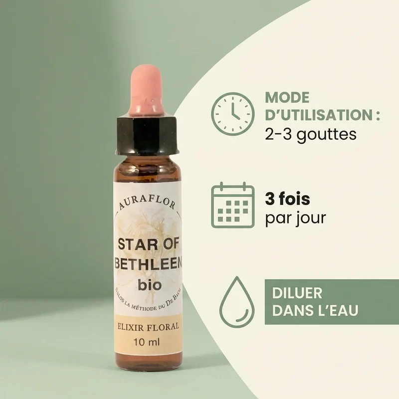 Fleur de Bach Etoile de Bethléem Bio - 10 ml - Dioter