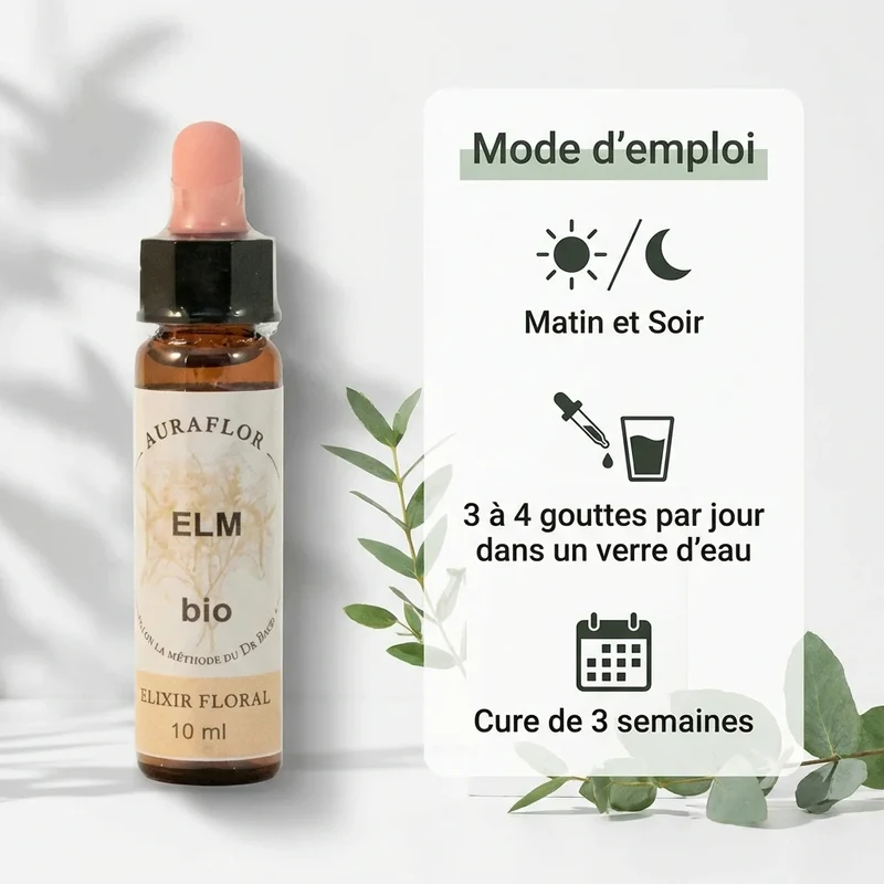 Fleur de Bach Orme (Elm) bio - 10 ml - Dioter