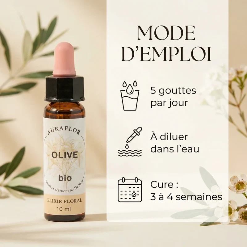 Fleur de Bach Olivier Bio - 10 ml - Dioter