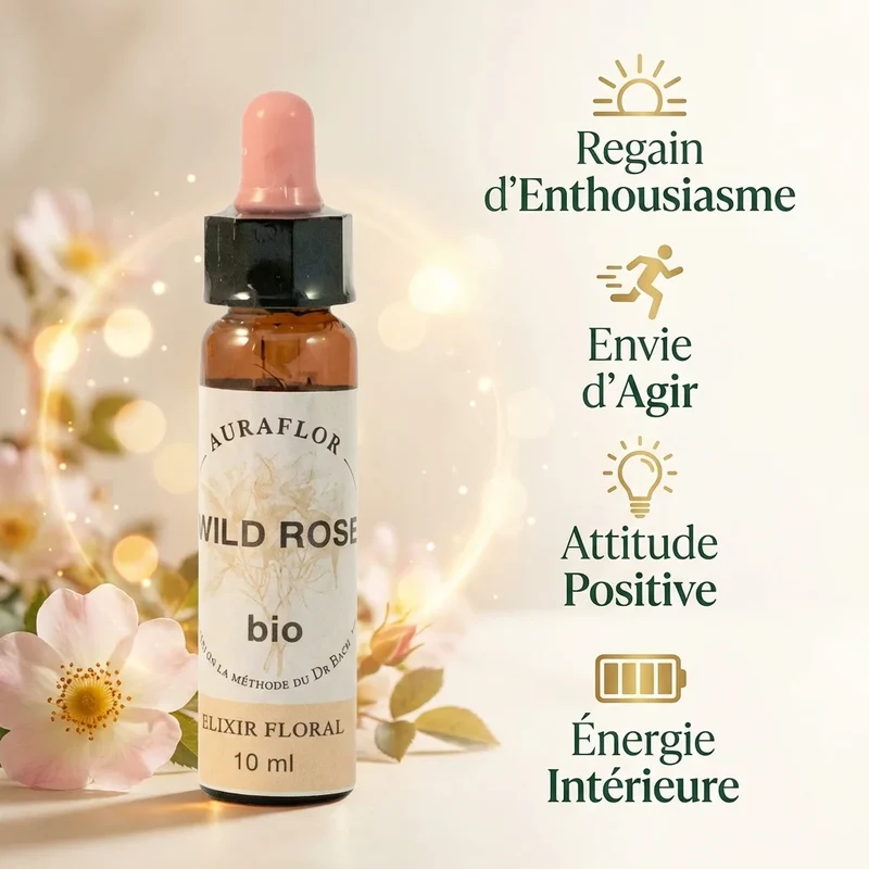 Fleur de Bach Eglantier (wild rose) Bio - 10 ml - Dioter
