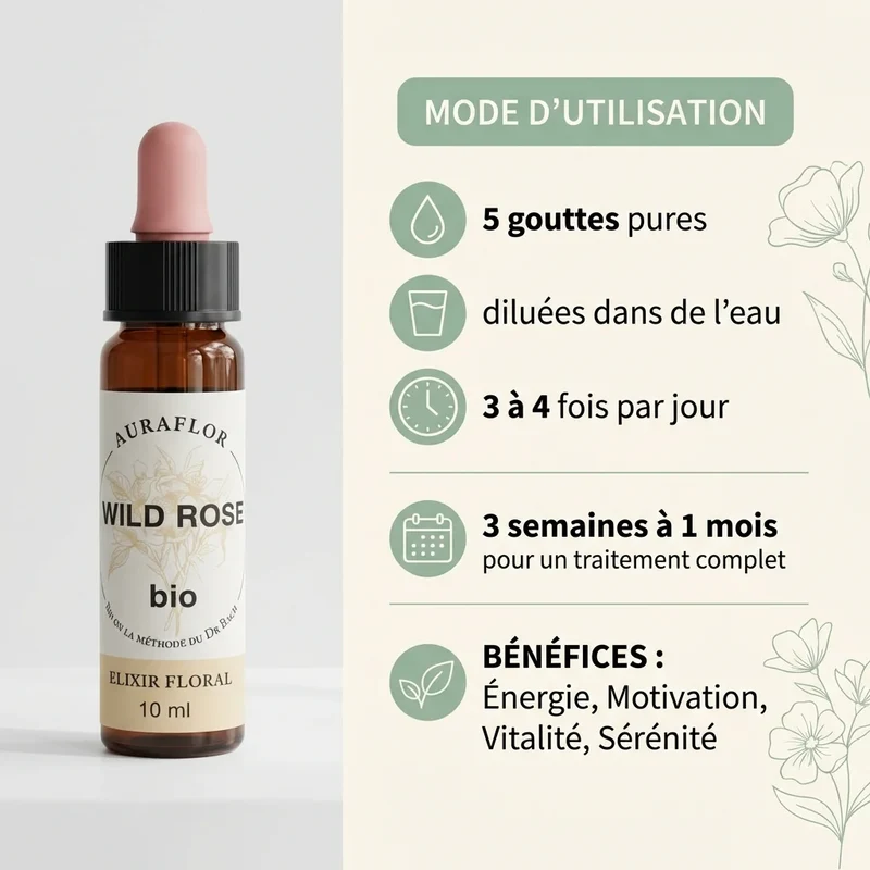 Fleur de Bach Eglantier (wild rose) Bio - 10 ml - Dioter
