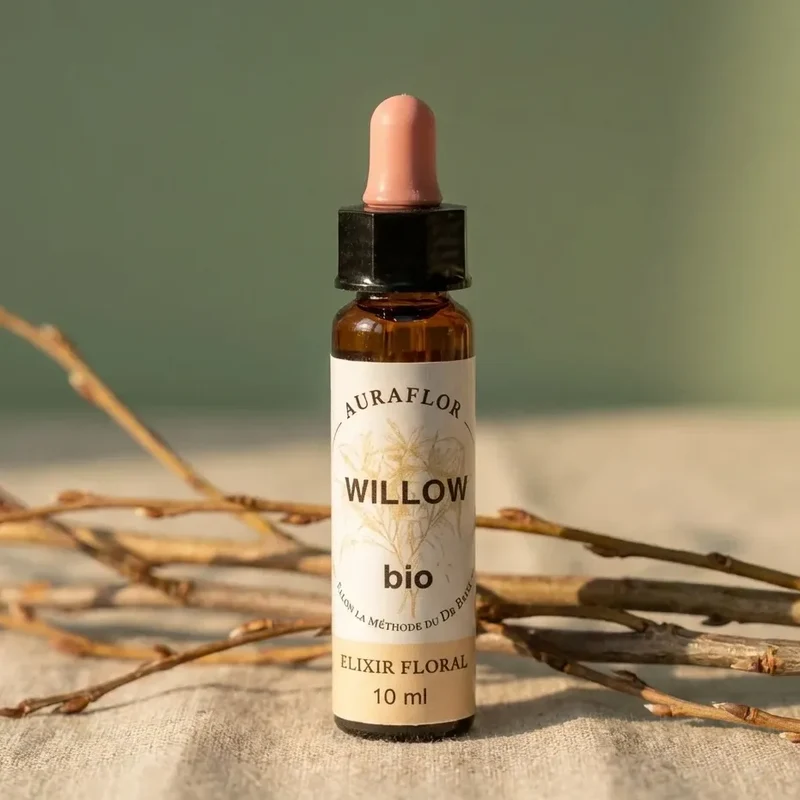 Fleur de Bach Saule Bio - 10 ml - Dioter