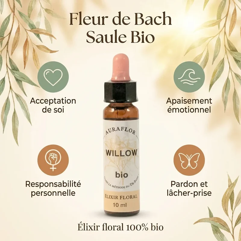 Fleur de Bach Saule Bio - 10 ml - Dioter