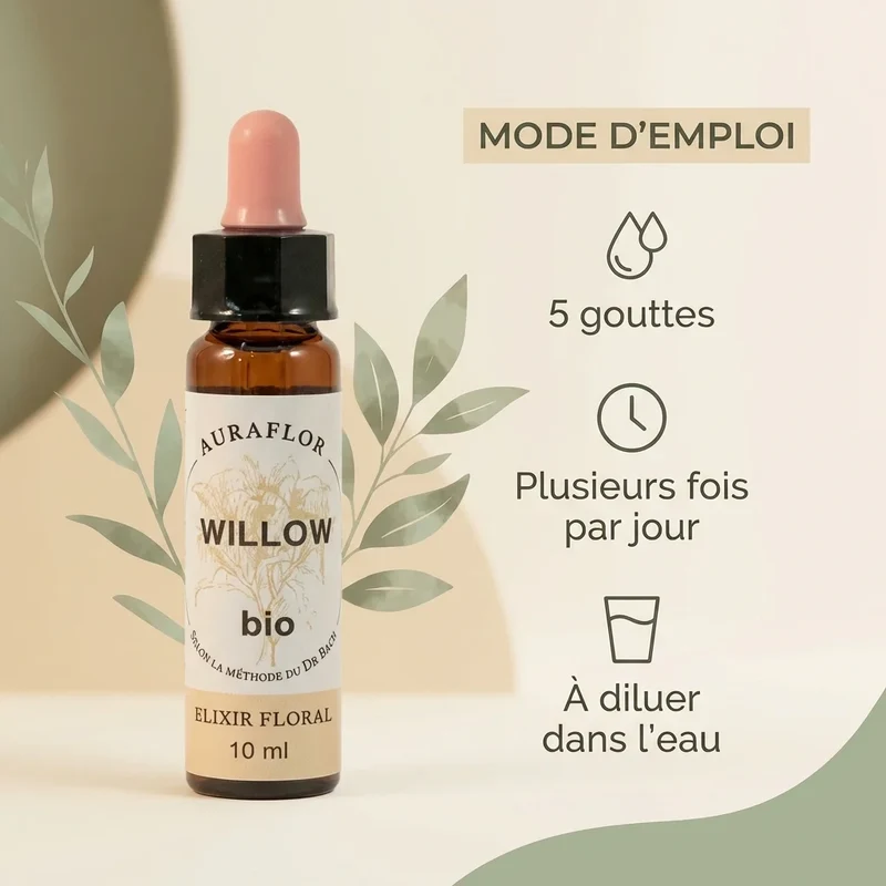 Fleur de Bach Saule Bio - 10 ml - Dioter