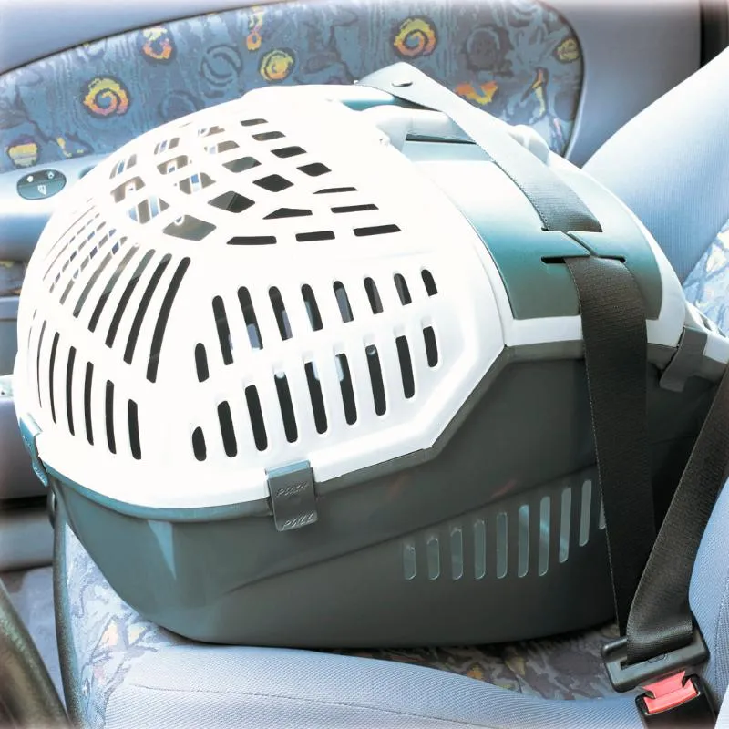 Cage de transport Avior chat et petit chien