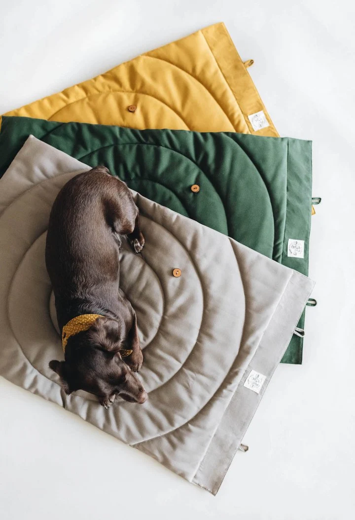 Matelas de voyage pour chien enroulable Compass Band & Roll