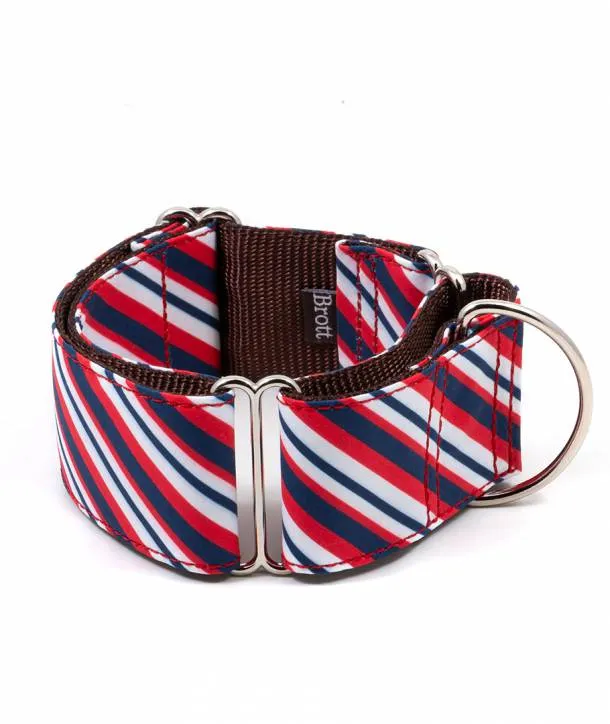 Collier pour chien Calella