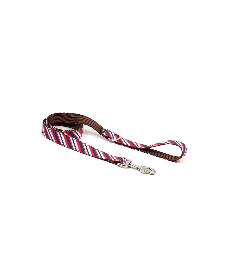 Collier pour chien Calella