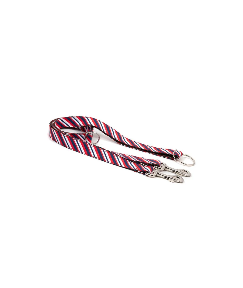 Laisse pour chien Calella