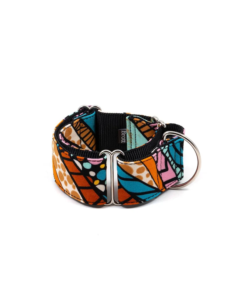 Collier pour chien Guell