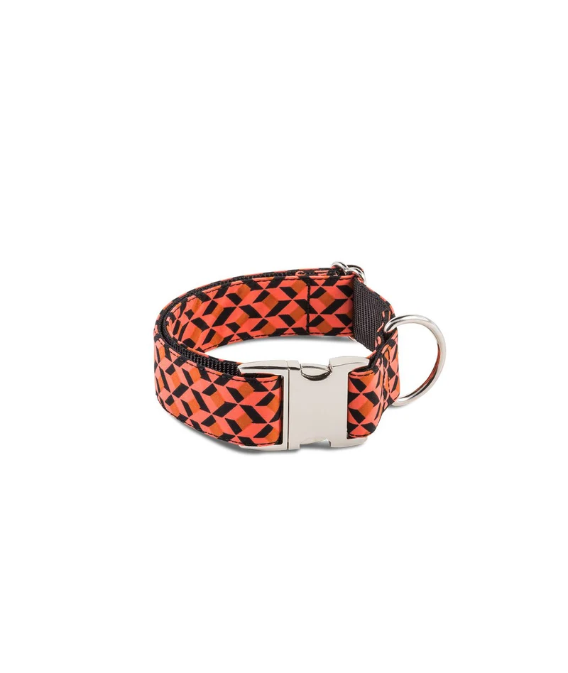 Laisse pour chien Er