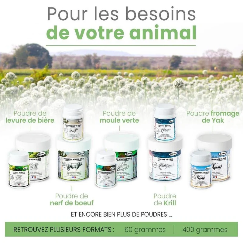 BUBIMEX Spiruline Poudre Complément Alimentaire Chiens et Chats 60g