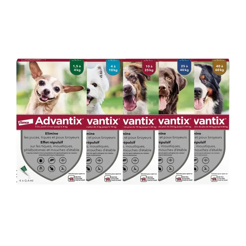 ADVANTIX Chien