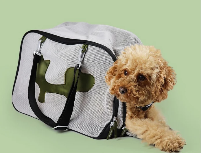 Sac de transport pour petit chien Mesh