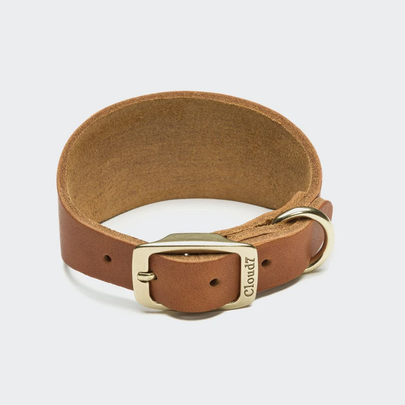 Collier en cuir pour lévrier