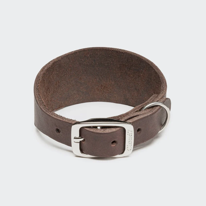 Collier en cuir pour lévrier