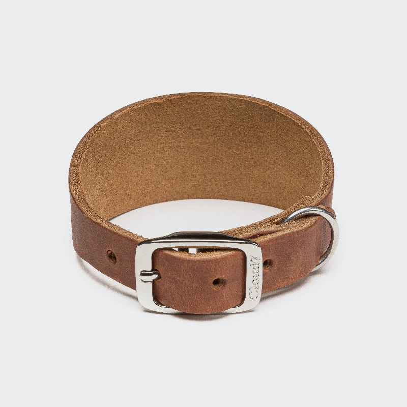 Collier en cuir pour lévrier