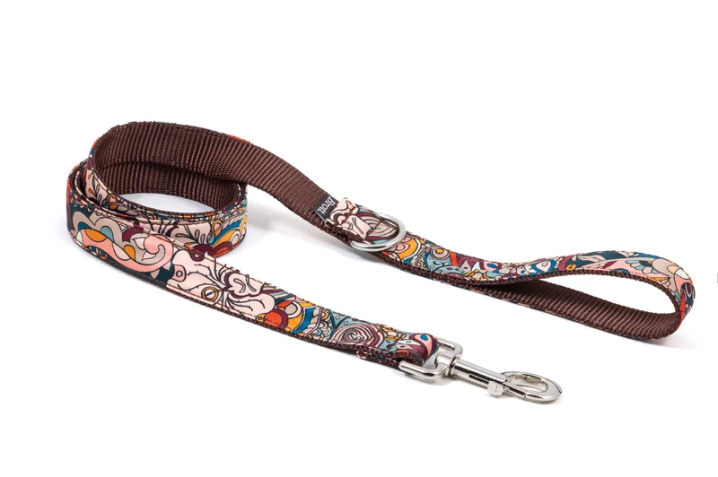 Collier pour chien Malda