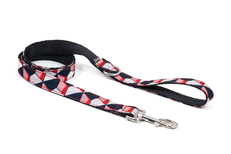 Collier pour chien Riells