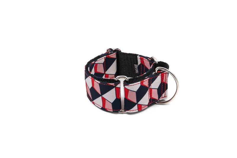 Collier pour chien Riells