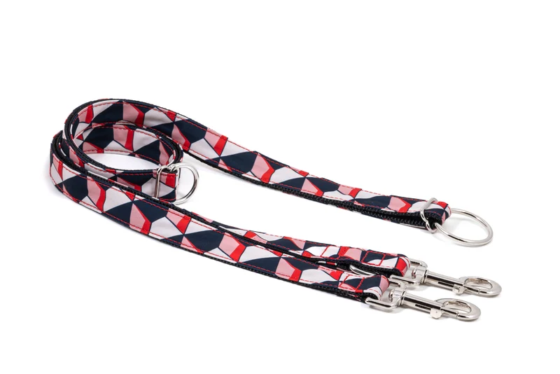 Laisse pour chien Riells
