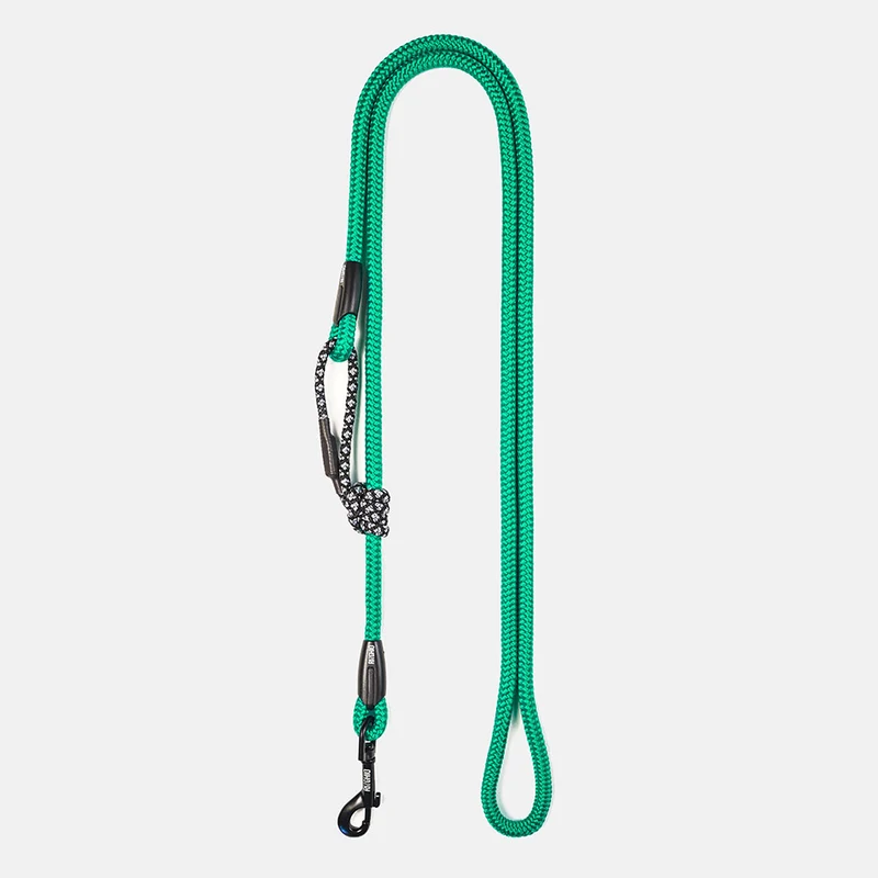 Laisse pour chien en corde d'escalade