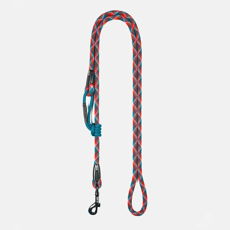 Laisse pour chien en corde d'escalade