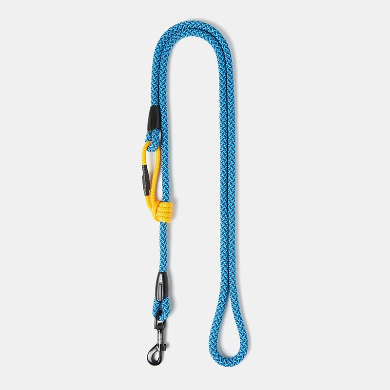 Laisse pour chien en corde d'escalade