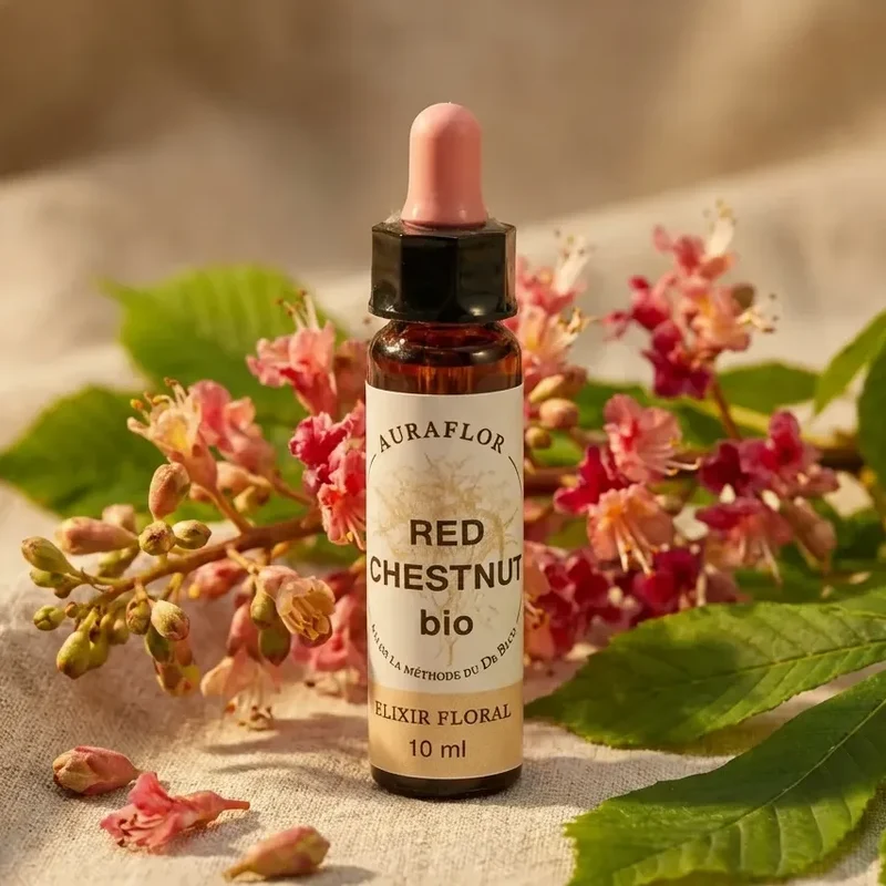 Fleur de Bach Marronier Rouge Bio - 10 ml - Dioter