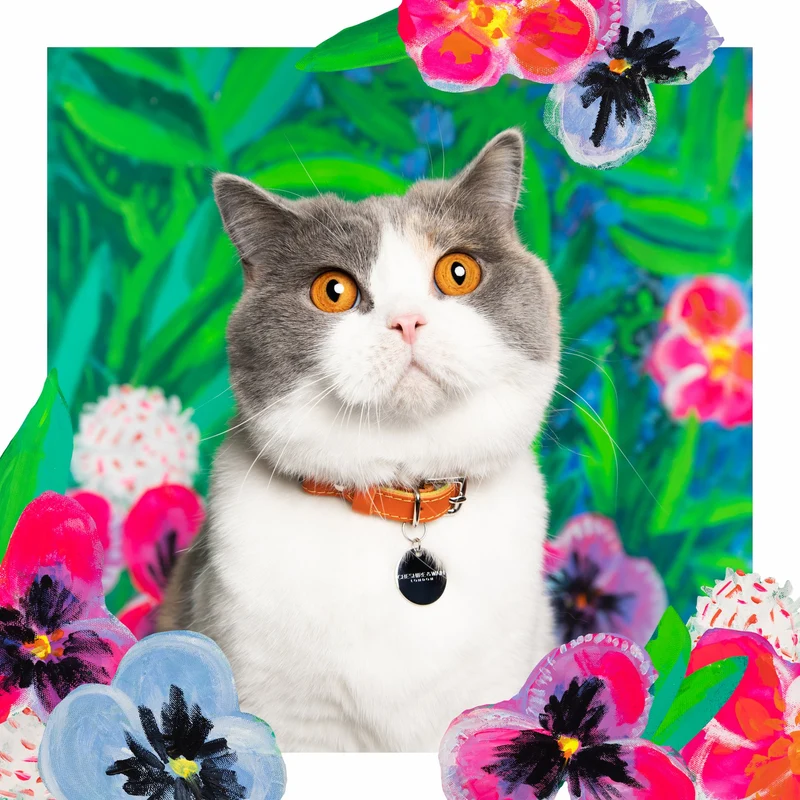 Collier pour chat en cuir Louis Wain