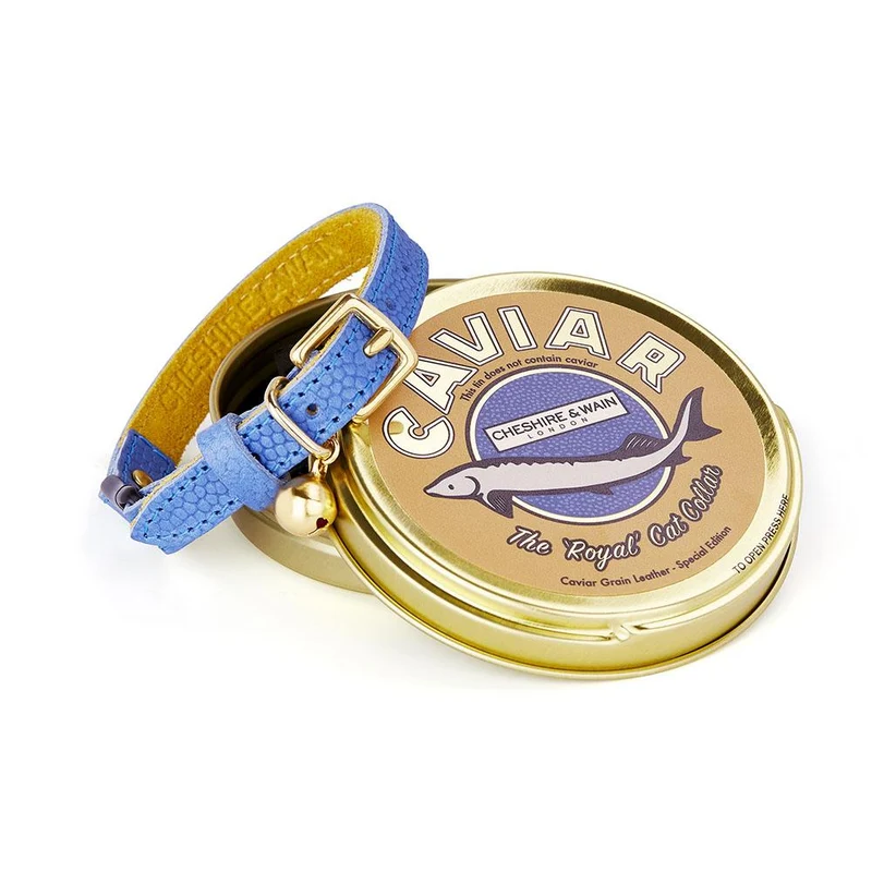Collier pour chat en cuir Royal Caviar