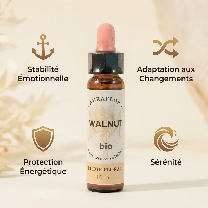 Fleur de Bach noyer bio - 10 ml - Dioter