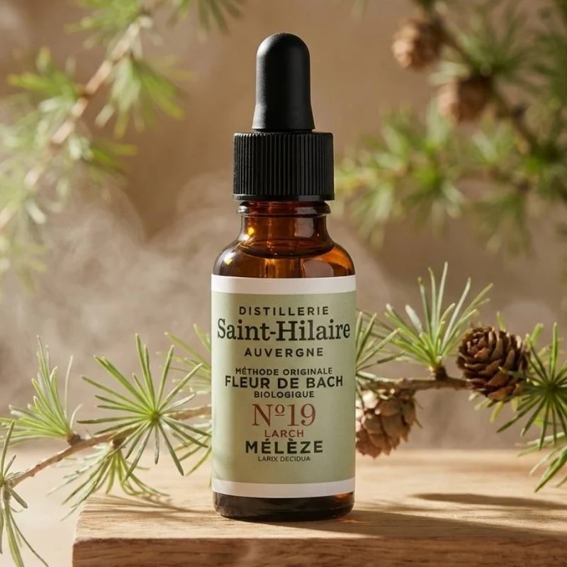 Fleur de Bach Meleze n°19 bio - 20ml - Saint-Hilaire