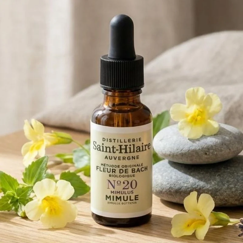 Fleur de Bach Mimule n°20 bio - 20ml - Saint-Hilaire