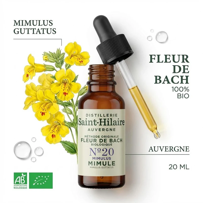 Fleur de Bach Mimule n°20 bio - 20ml - Saint-Hilaire