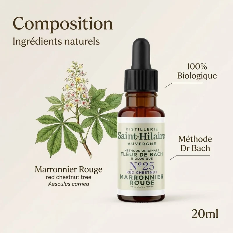 Fleur de Bach Marronnier Rouge Bio 20ml - Sérénité - Saint-Hilaire
