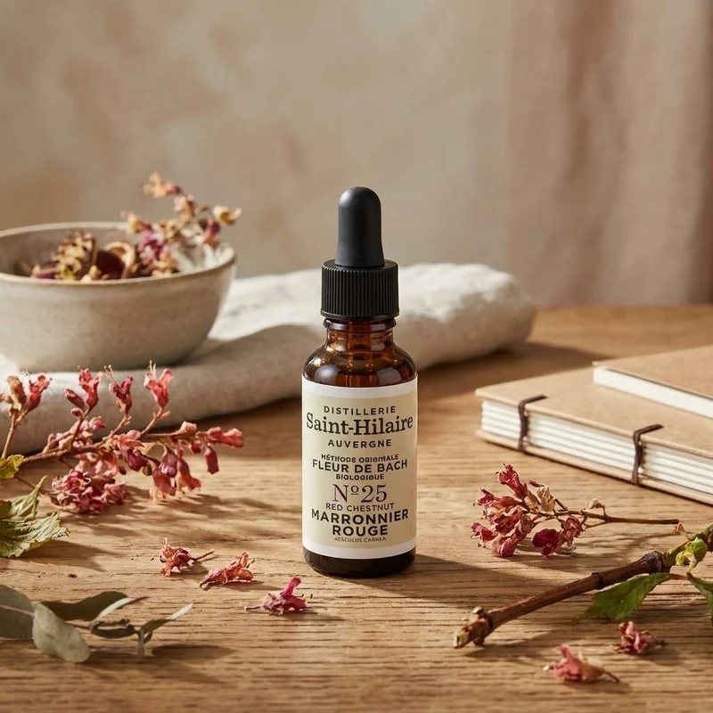 Fleur de Bach Marronnier Rouge Bio 20ml - Sérénité - Saint-Hilaire