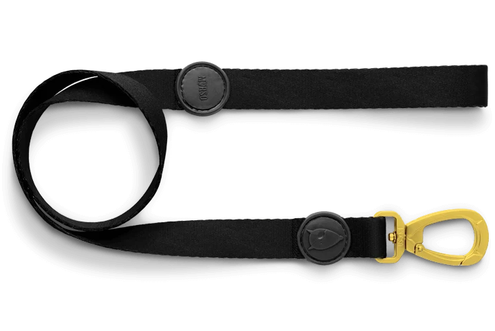 Laisse Gold caviar