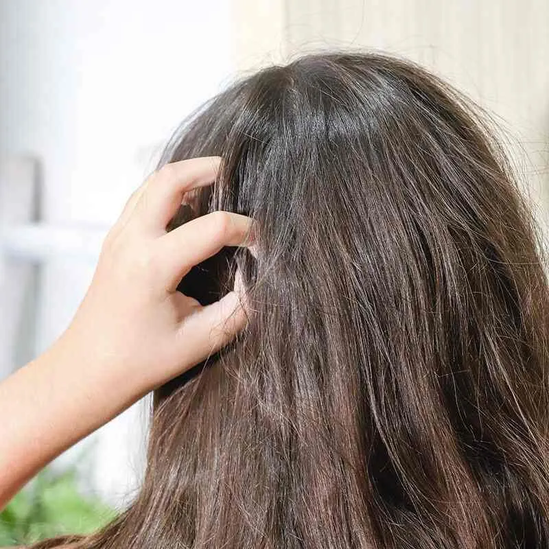 Shampoing solide pour enfants - P'tites Têtes - Lamazuna