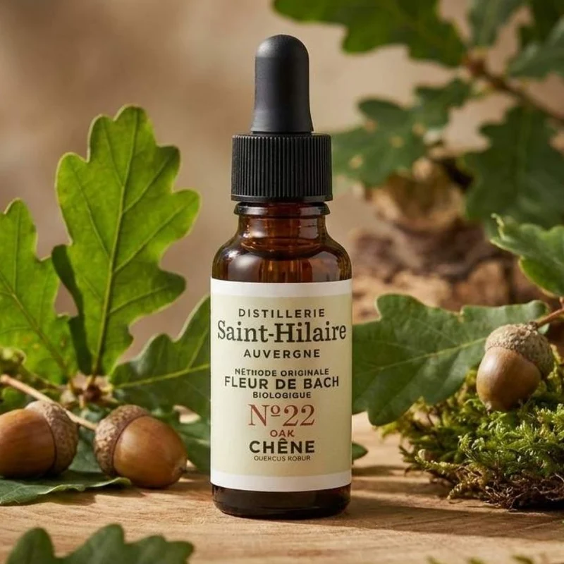 Fleur de bach Chêne n°22 - 20ml - Saint-Hilaire