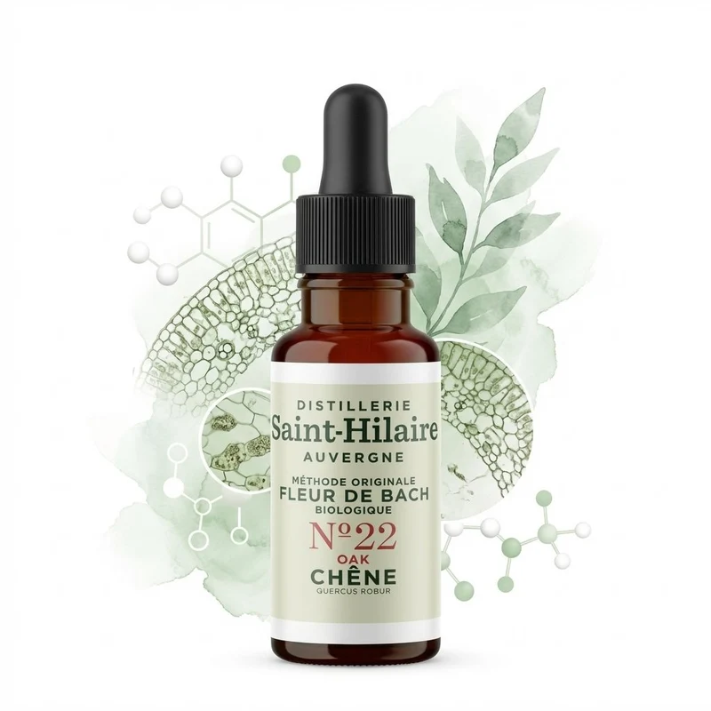 Fleur de bach Chêne n°22 - 20ml - Saint-Hilaire