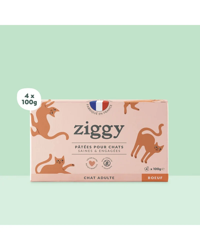 Ziggy Adult Boeuf Pâtée Pour Chat