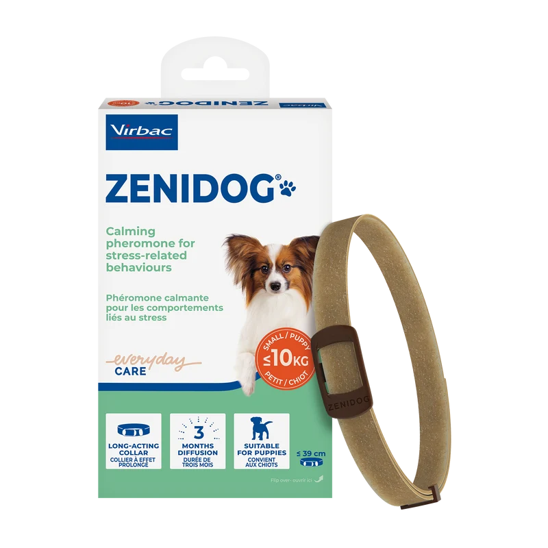 Zenidog collier pour chien