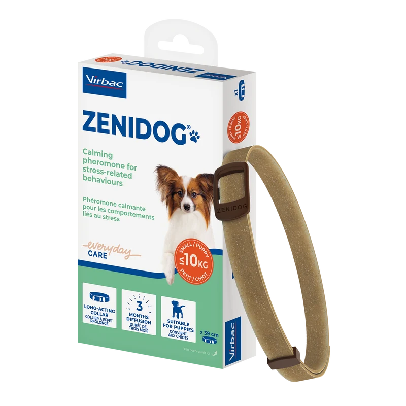 Zenidog collier pour chien