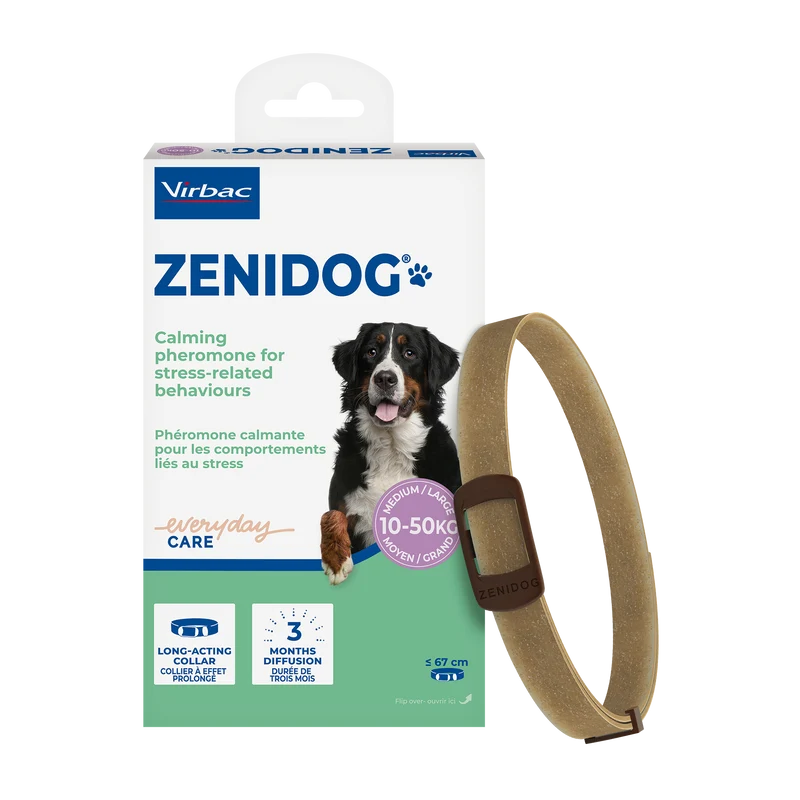 Zenidog collier pour chien