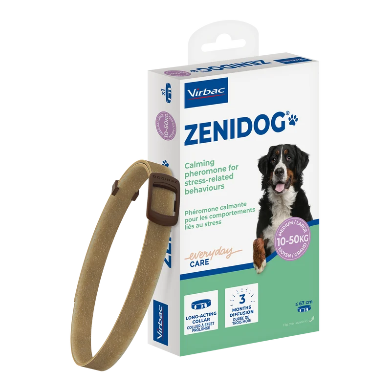 Zenidog collier pour chien