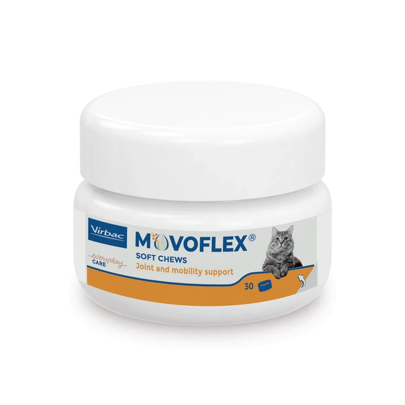 Movoflex chat