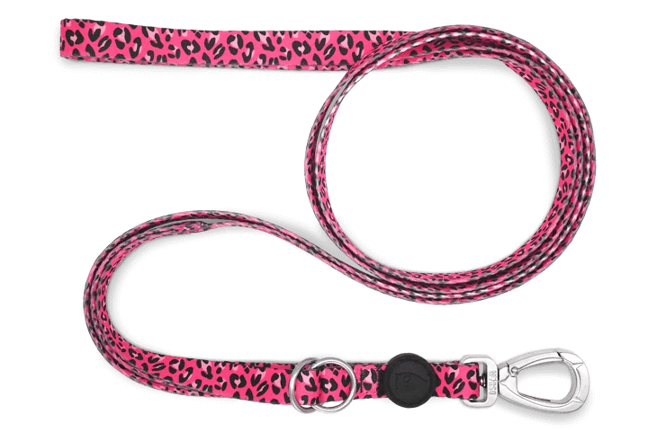 Laisse Bubble Leo